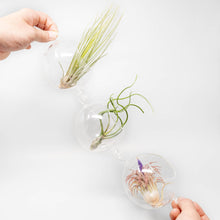 Load image into Gallery viewer, Hanging Globe Terrariums with Double-Hooks