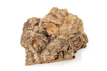 Load image into Gallery viewer, Medium Tabletop Cork Bark Display with 3 Tillandsia Air Plants