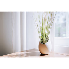 Load image into Gallery viewer, Large Ivory Ceramic Hanging Planter With Flat Bottom