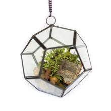 Load image into Gallery viewer, DIY Glass Pentagon Terrarium