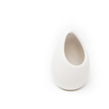 Load image into Gallery viewer, Large Ivory Ceramic Vase with Tillandsia Sparkler Air Plant